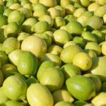 27sept19limones a india